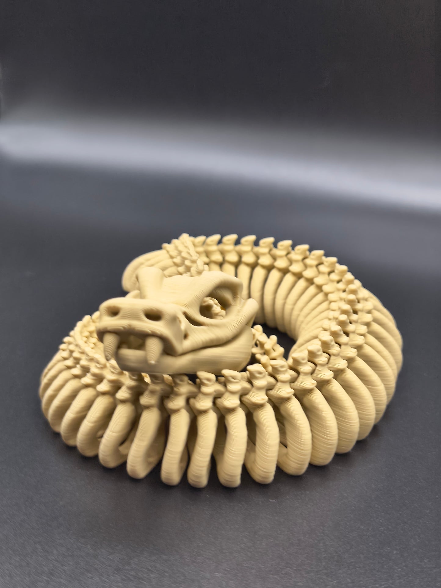Coiled Bones — Skeleton Snake (Medium)