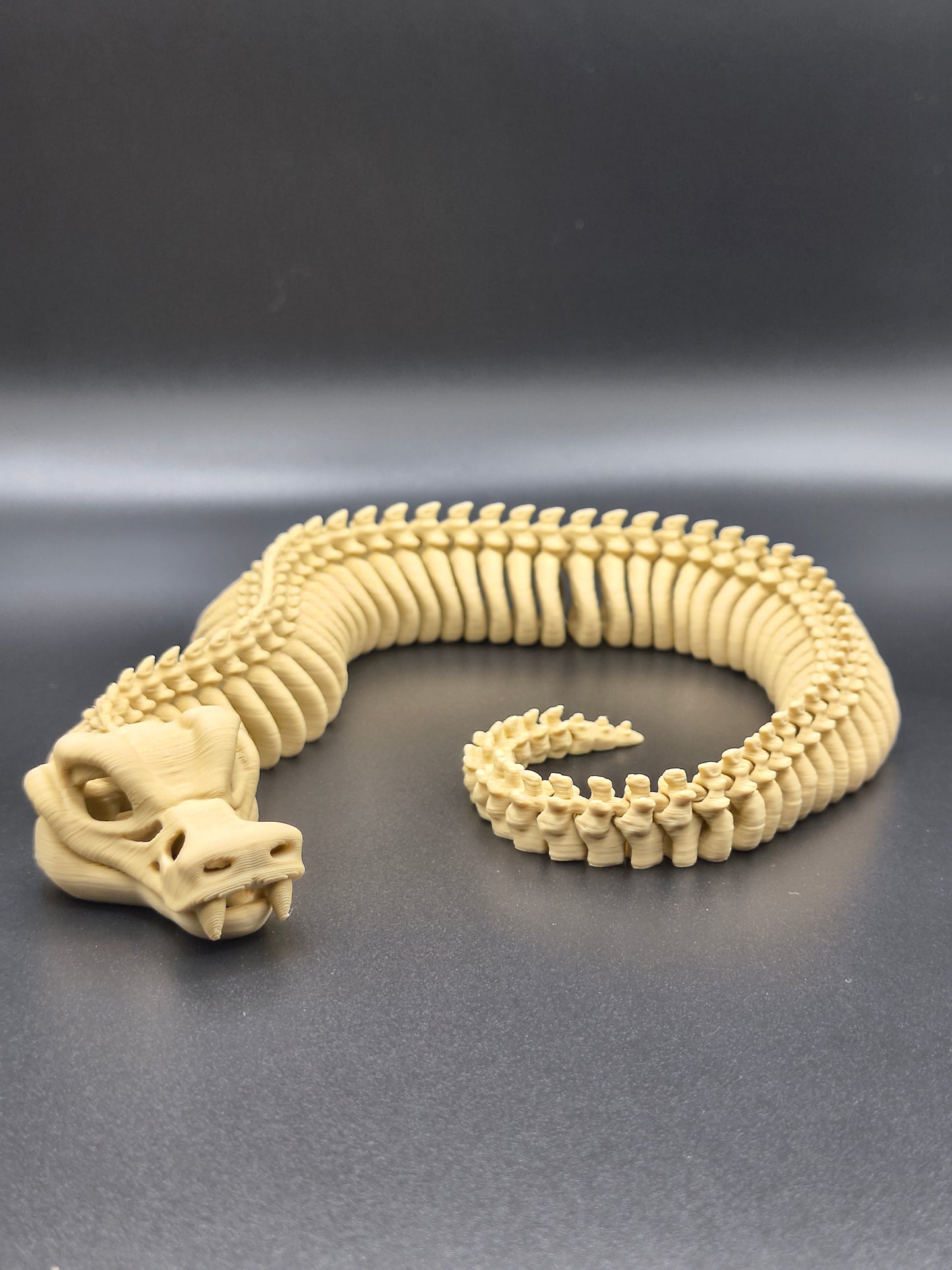 Coiled Bones — Skeleton Snake (Medium)