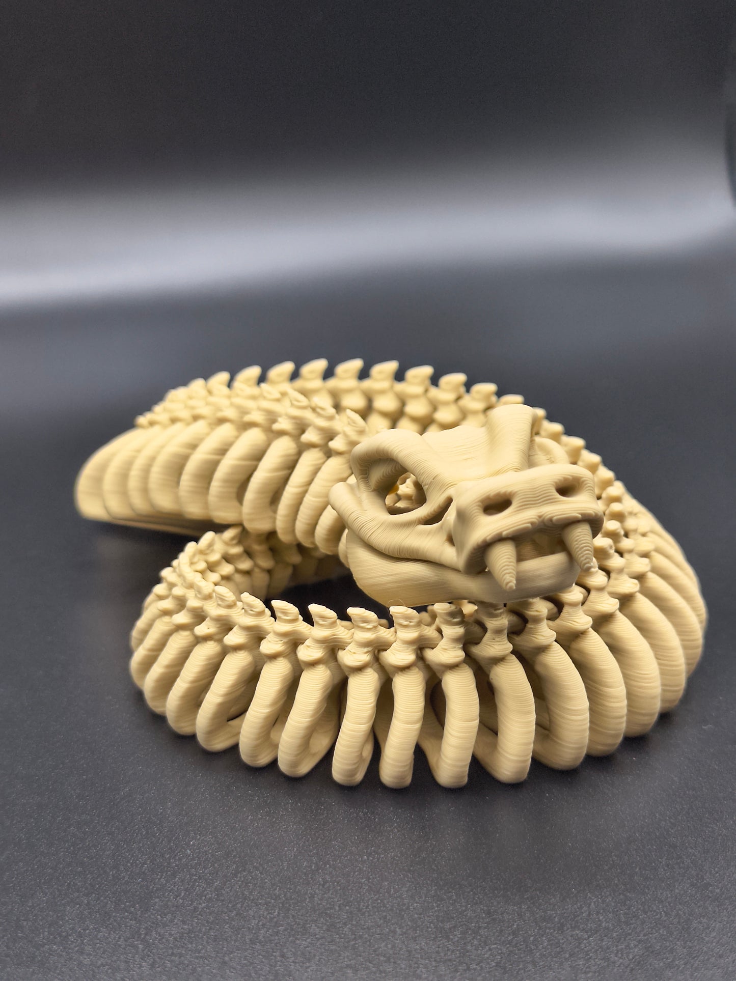 Coiled Bones — Skeleton Snake (Medium)